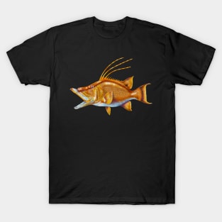 Hogfish T-Shirt